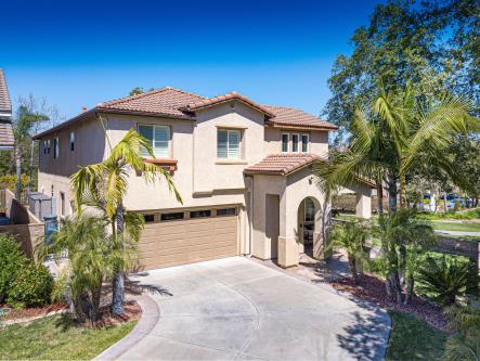 Modern two-story house with a spacious driveway and palm trees.