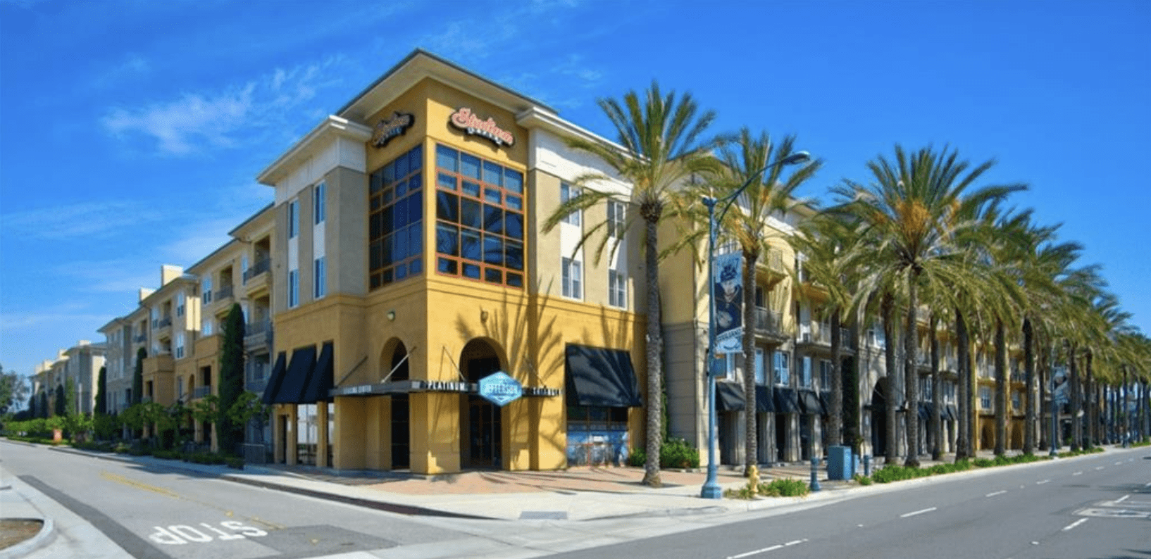 A sunny street view with palm trees and a corner building under a clear blue sky.